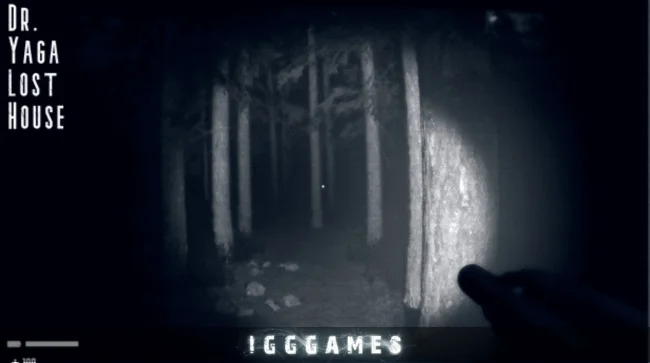 Dr Yaga Lost House PC Game Download